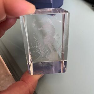 Coastal seahorse desk paperweight